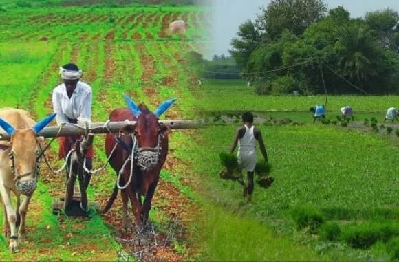 सर्व जाती-धर्मांचे शेतकरी शिदोरीसह मैदानात! गडचिरोलीत शासकीय धोरणांविरोधात ‘सर्वसमाज’ आक्रमक