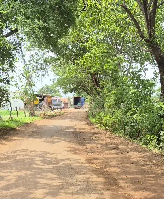 गडचिरोलीत विकासाचा बोजवारा: खर्पुंडी-दिबना-जेफ्रा-अमीर्झा मार्ग दुरवस्थेच्या विळख्यात; प्रशासनाचे अक्षम्य दुर्लक्ष